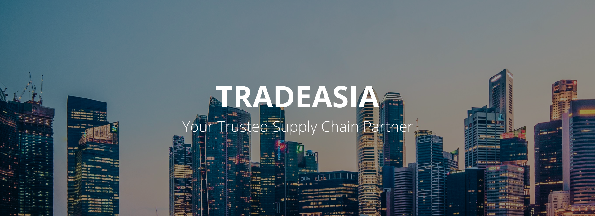 Tradeasia Company Image Website
