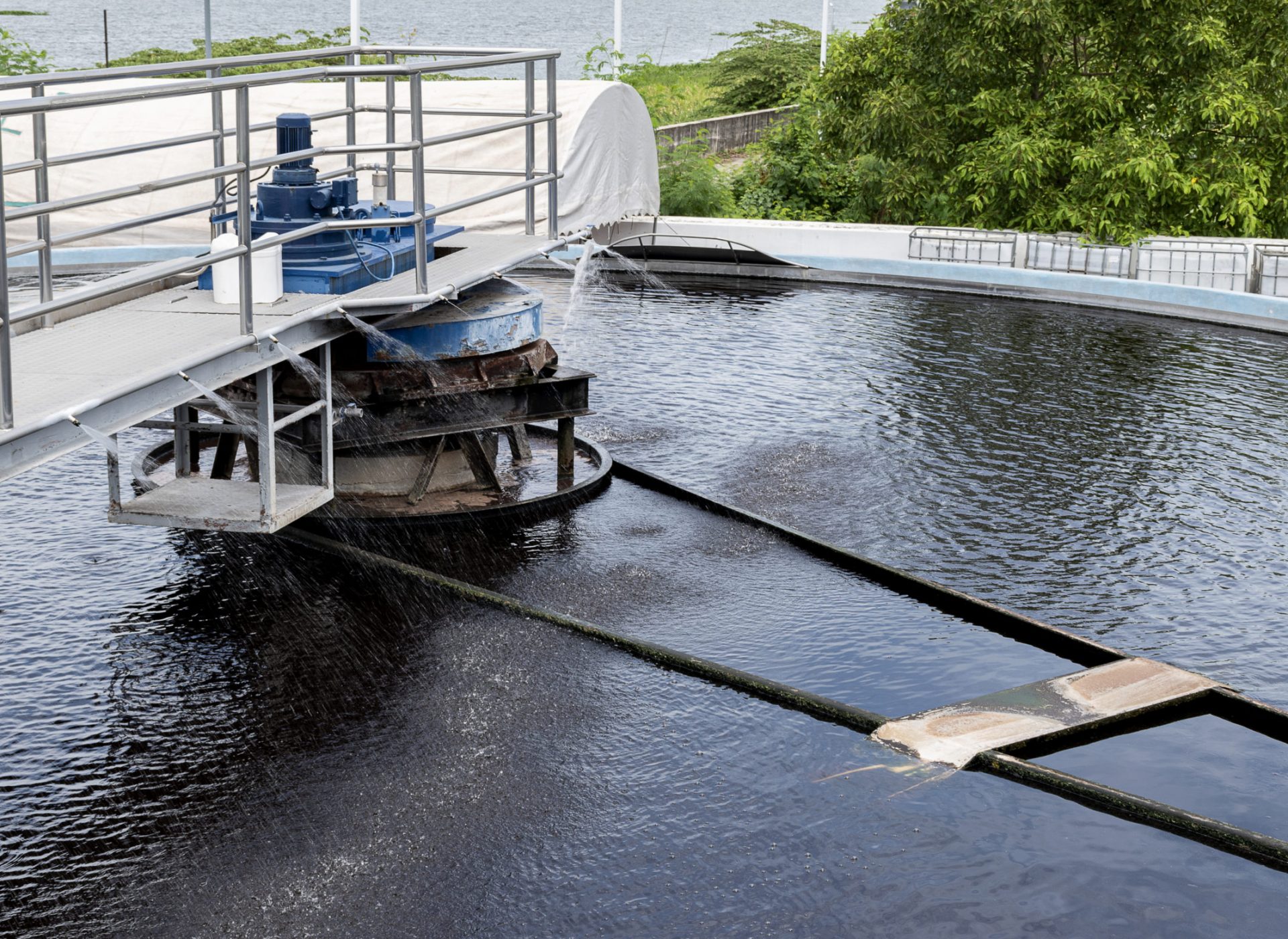 Waste water treatment ponds from industrial plants